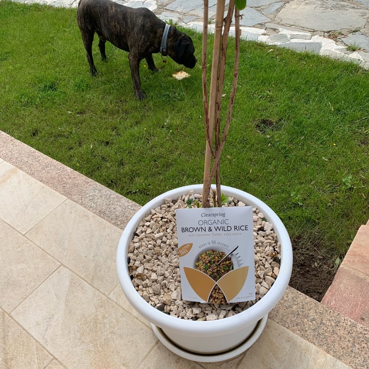 photo shared by @marycarbo on  04 May 2022 - post