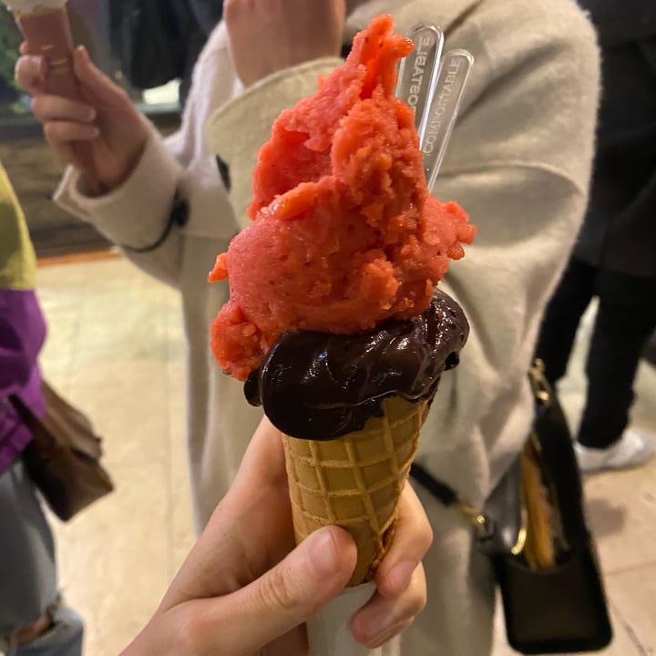 review photo of Oggi Gelato Bologna Gelato Cioccolato e Fragola shared by @sinfobie on 29 Apr 2022 - review