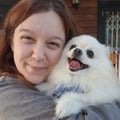 caitell @caitell profile image
