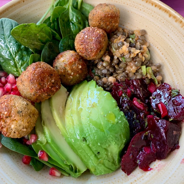 photo of ZIZOU Brasserie & Bar Falafel Bowl shared by @petermil on  26 Aug 2021 - review
