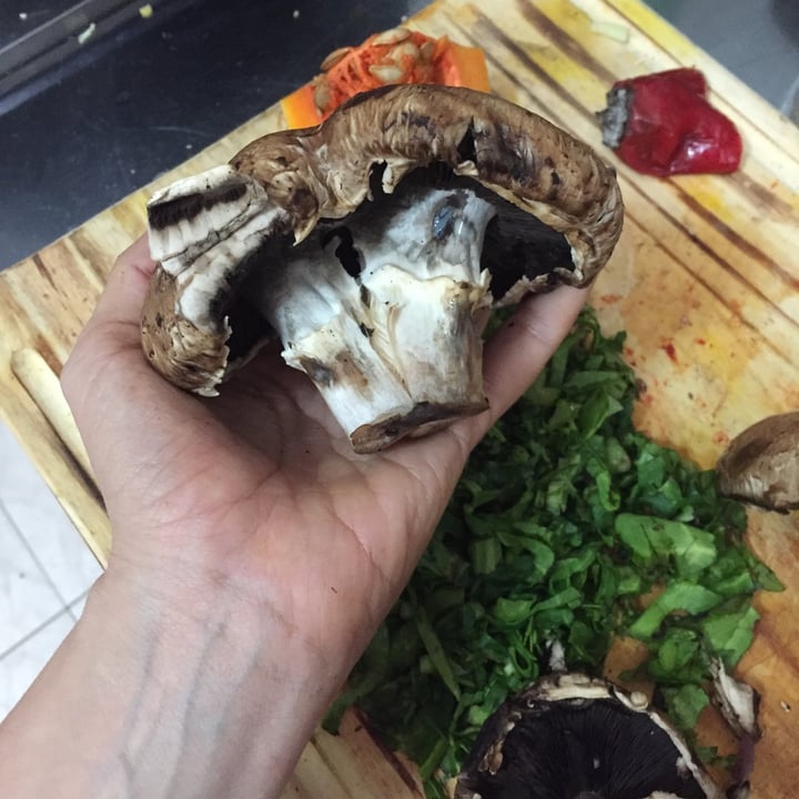 review photo of Wuaranga Portobellos Naturales shared by @wuaranga on 31 May 2021 - review