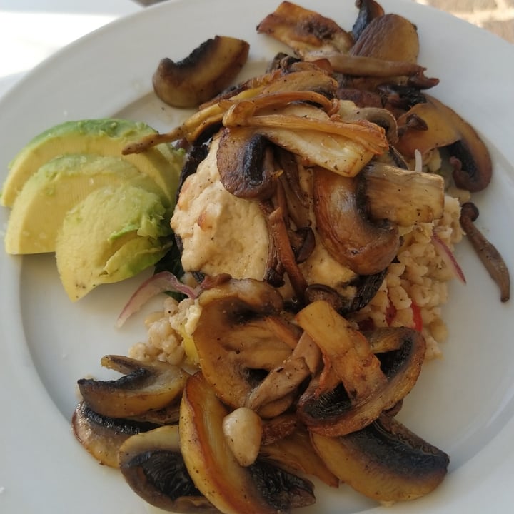 photo of Pulse (Vegan-Vegetarian) Mushroom portobello with salad shared by @vegsupergirl on  28 Aug 2022 - review