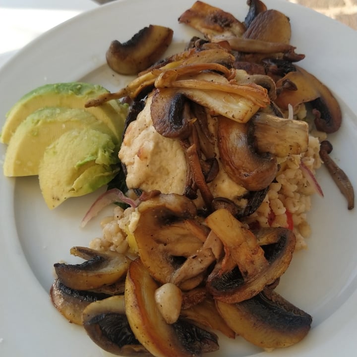 review photo of Pulse (Vegan-Vegetarian) Mushroom portobello with salad shared by @vegsupergirl on 28 Aug 2022 - review