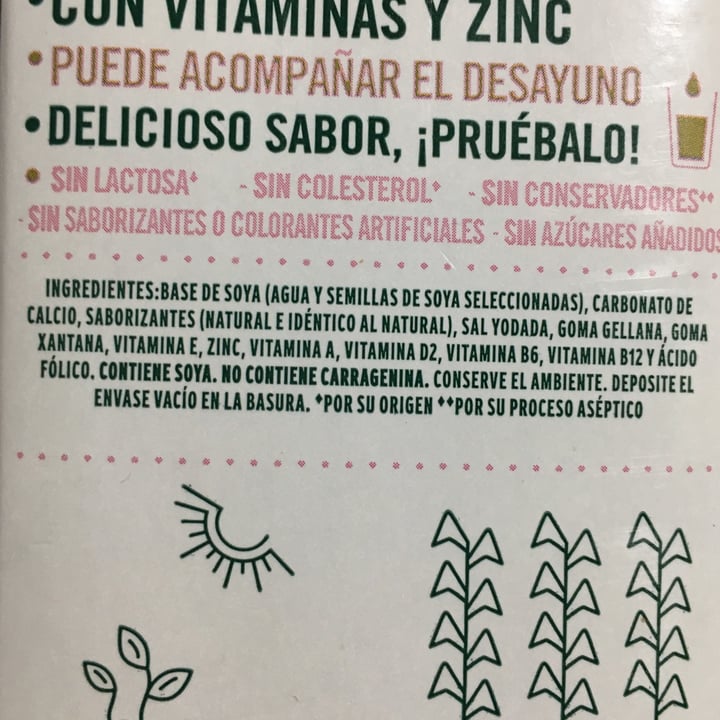 review photo of Ades Leche de Soja sabor Natural shared by @lamiarestrada on 06 Apr 2021 - review