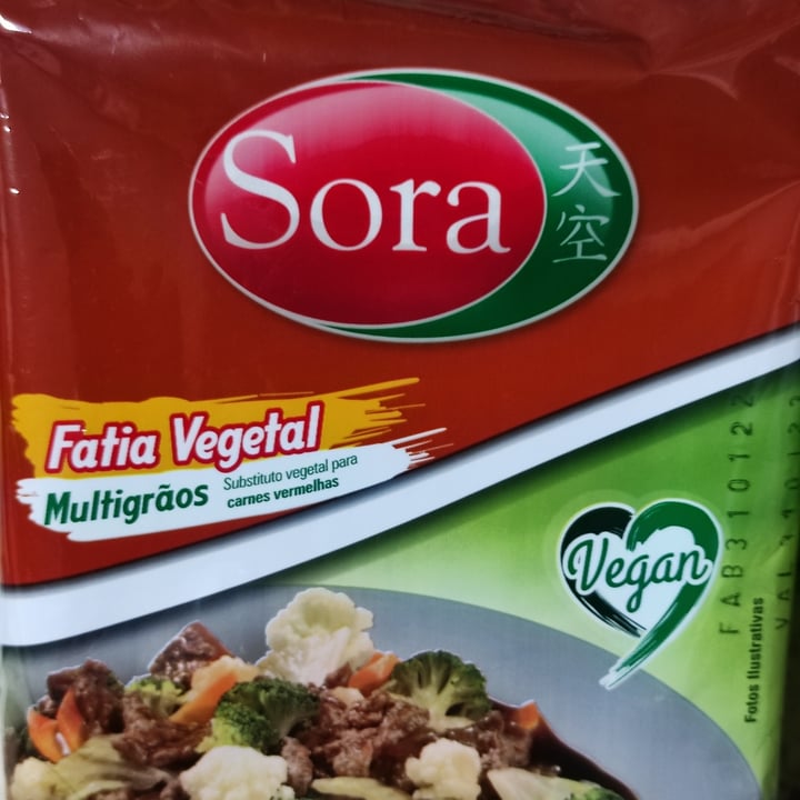 photo of Sora Proteina texturizada de soja, fatia vegetal multigrãos 125g shared by @andreamenasc on  04 May 2022 - review