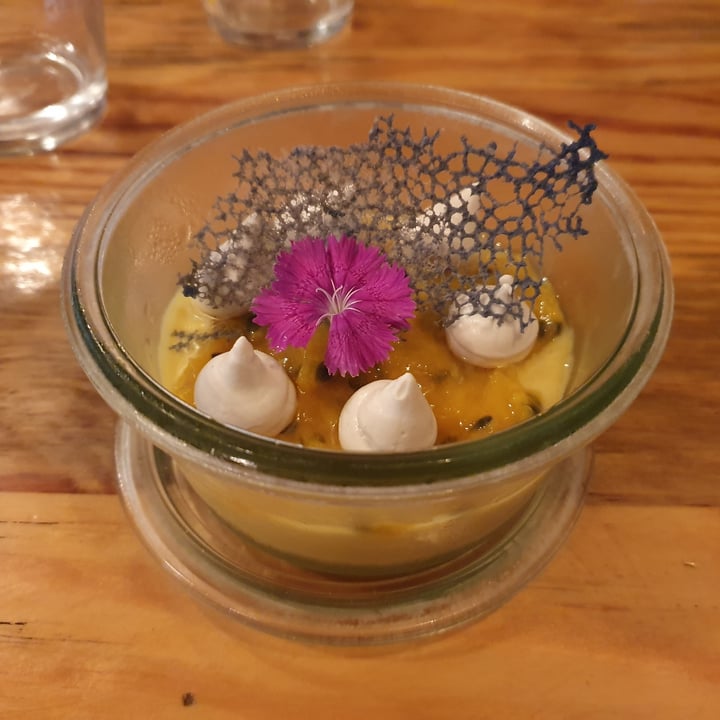 photo of MIMO Vegan Bistro Mousse MIMO shared by @lucri on  21 Aug 2022 - review