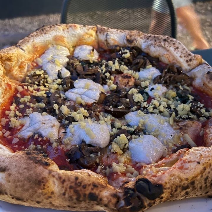 photo of Parco Romano Biodistretto Castelli Romani Pizza Mediterranea Veg shared by @asepticfrost on  09 Aug 2022 - review