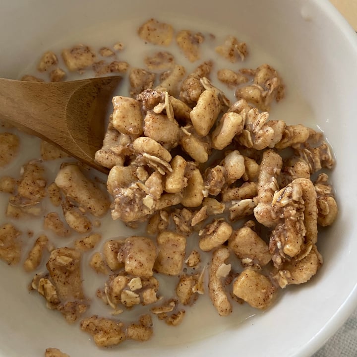 photo of Kashi Cinnamon Crisp shared by @misssedgwick on  06 Mar 2021 - review