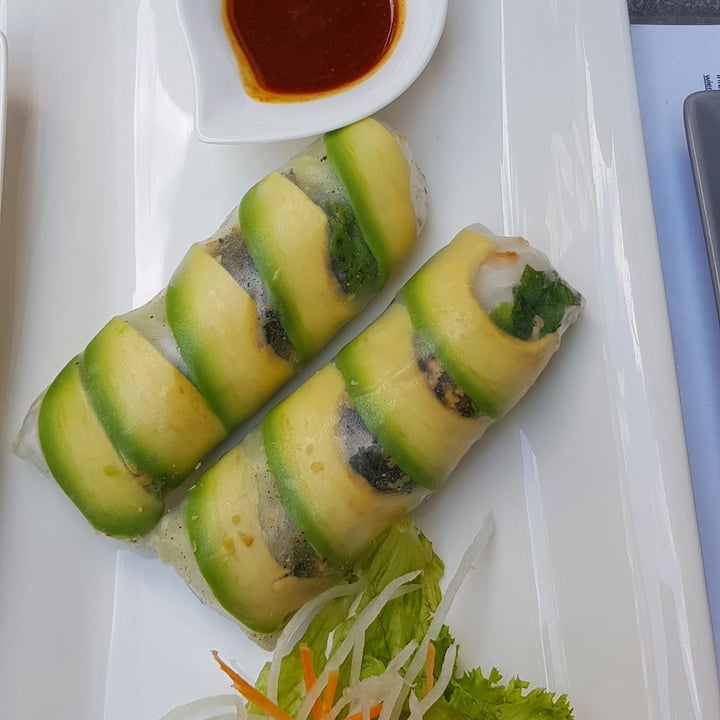 photo of Vevi Restaurant Avocado Summer Rolls shared by @vanpanda on  08 Jul 2021 - review