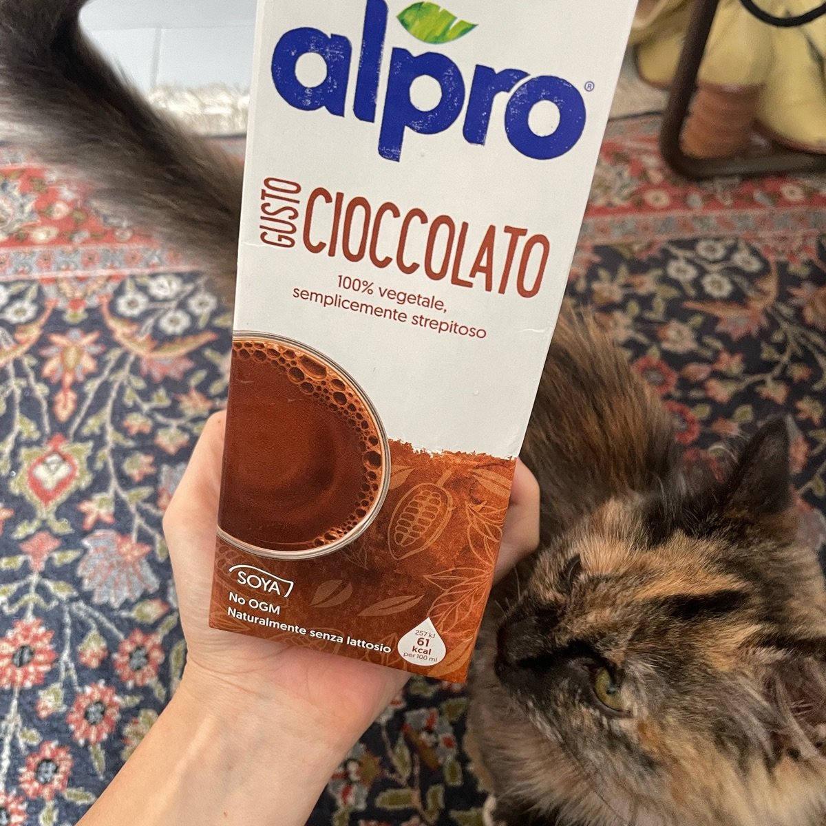 Alpro Alpro Latte Al Cioccolato Reviews abillion