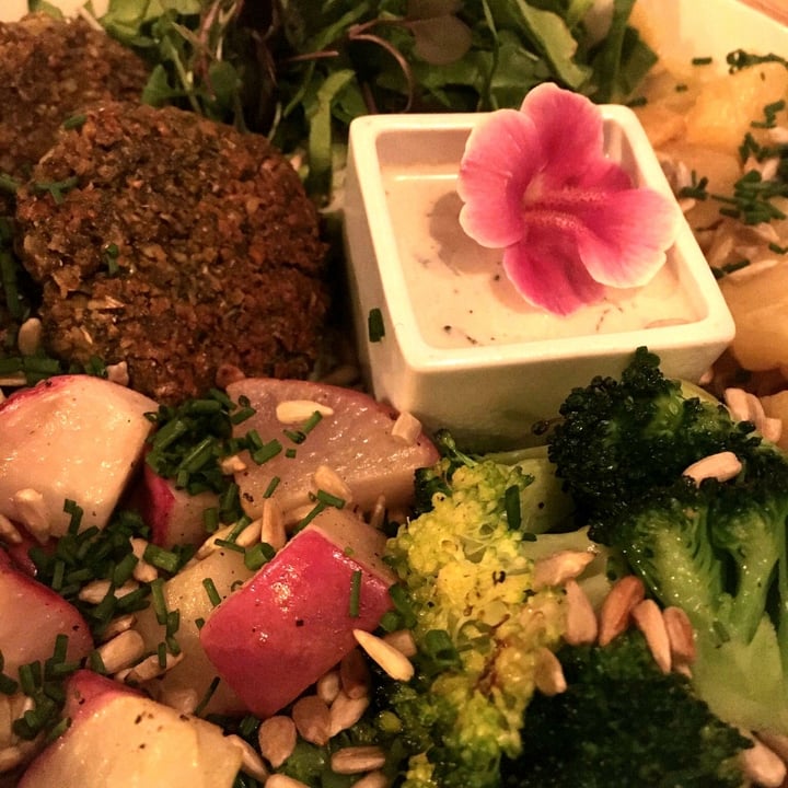 review photo of MIMO Vegan Bistro Bol De Falafel Al Horno shared by @irenesc on 03 May 2021 - review