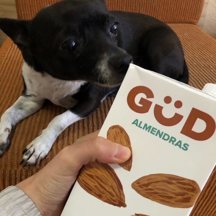 review photo of GüD Alimento Líquido de Almendra Orgánico shared by @palomaiturrizar on 31 Jan 2022 - review
