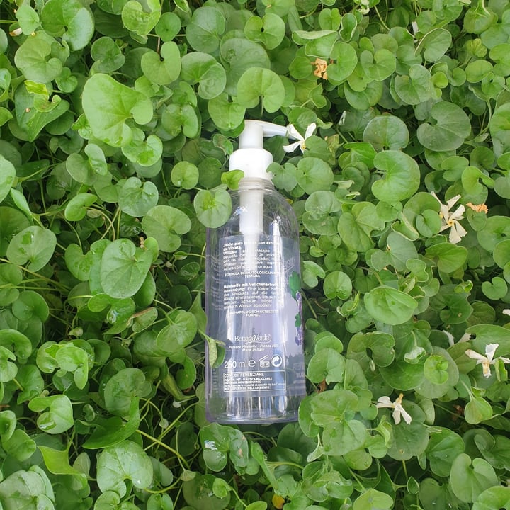 photo of Bottega Verde Lavamani Violetta shared by @ilariasalvadori on  15 Jun 2022 - review