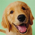 ossus @ossus profile image