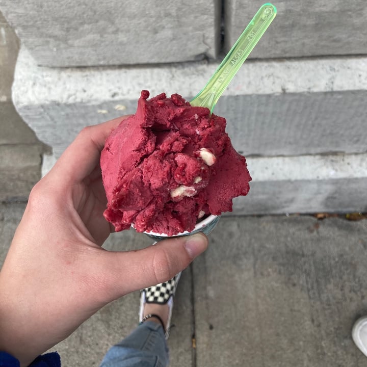 review photo of Mio Gelato Black Currant Sorbetto shared by @megs99 on 31 Aug 2020 - review