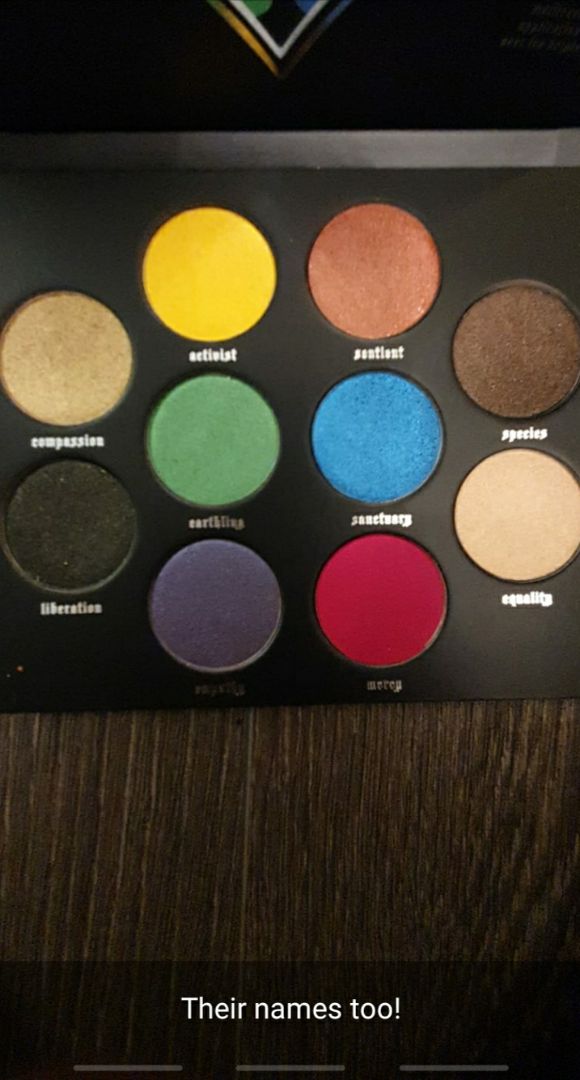 photo of KVD Beauty Vegan palette shared by @charlamywild on  26 Jan 2020 - review