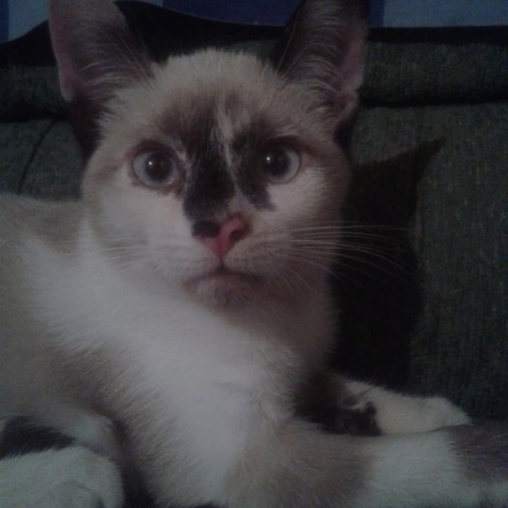 photo shared by @mimikyug on  06 Nov 2021 - post