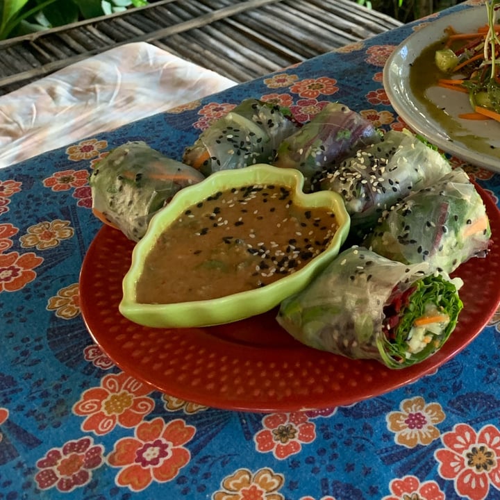 photo of Earth Tone vegetarian cafe and health shop Fresh Summer Rolls shared by @veganlinda on  05 Nov 2021 - review