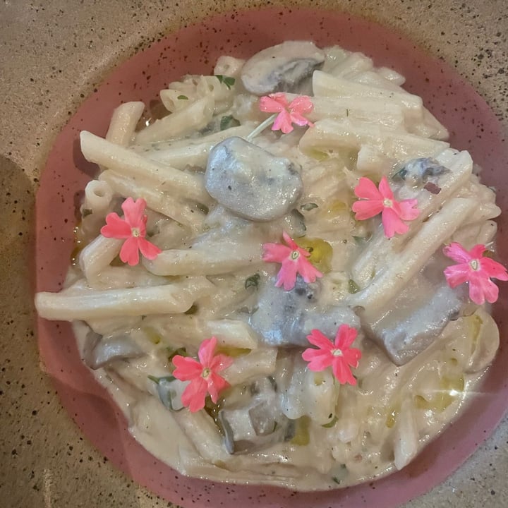 review photo of Camelia Ododo Restaurante - Cafe & Bar Organico Penne Ao Molho De Castanhas E Cogumelos shared by @veganizandoodiaadia on 26 Jul 2022 - review