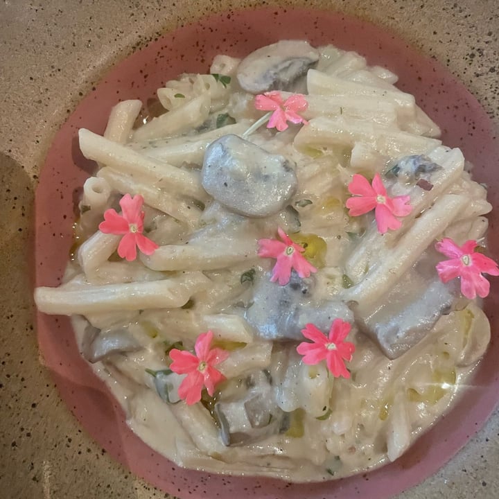 photo of Camelia Ododo Restaurante - Cafe & Bar Organico Penne Ao Molho De Castanhas E Cogumelos shared by @veganizandoodiaadia on  26 Jul 2022 - review