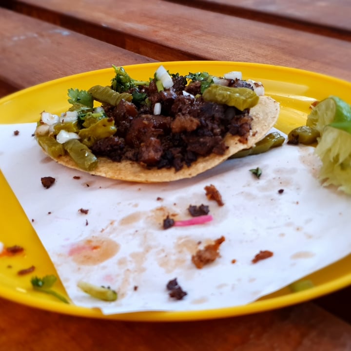 photo of Gracias Madre Taquería Vegana Taco De Tripa De Setas shared by @bernardini96 on  30 Jun 2022 - review