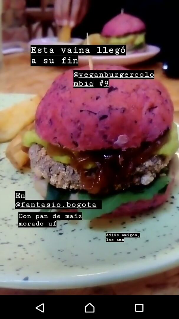 photo of El Fantasio Vegan bean burger, shared by @angierengifo on  23 Aug 2019 - review