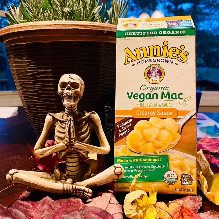 photo of Annie’s Organic Vegan Mac Cheddar Flavor shared by @kristyahimsa on  27 Oct 2020 - review