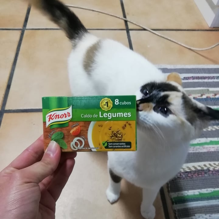 photo of Knorr Vegetable Cube shared by @anathedoglady on  04 Feb 2021 - review