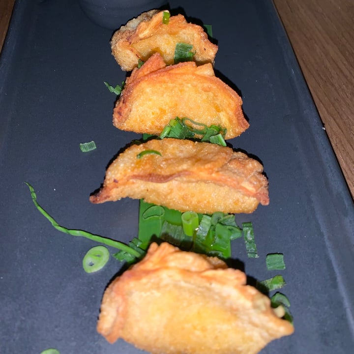 photo of Plantasia Gyozas shared by @cayo on  09 Jun 2021 - review