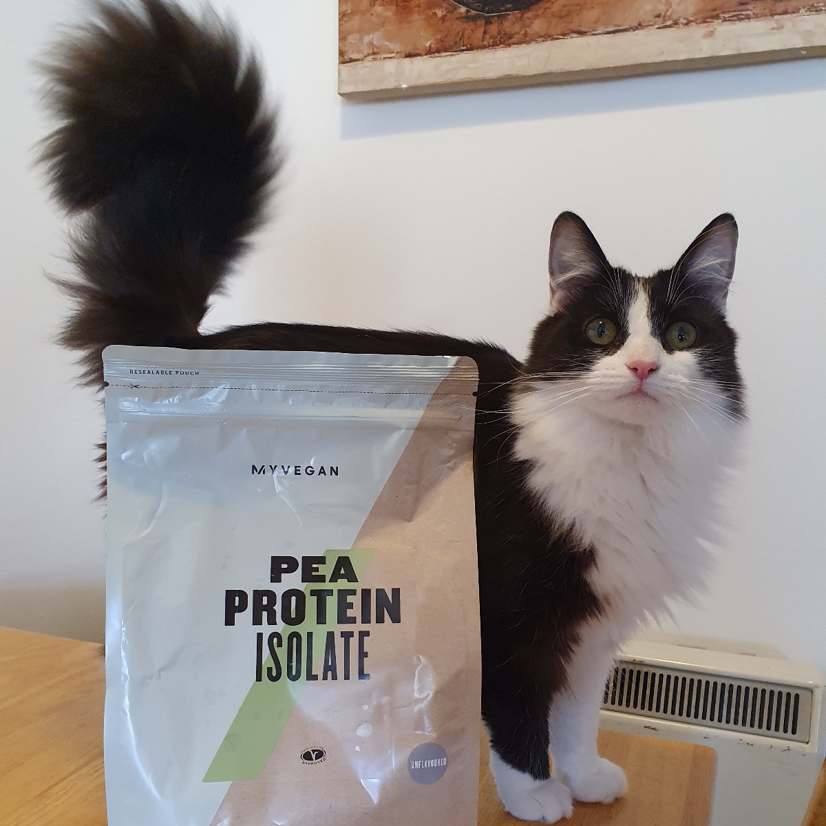 My Vegan Pea protein isolate Reviews abillion
