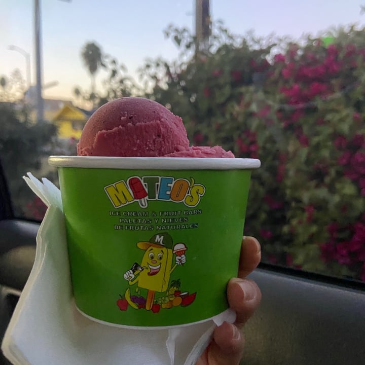 photo of Mateo's Ice Cream & Fruit Bars Pitaya Icecream shared by @mynameisweird on  17 Jan 2021 - review