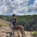 veganwildce @veganwildce profile image