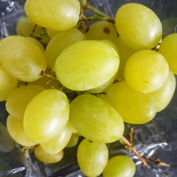 review photo of Deluxe Cotton Candy Grapes shared by @silviamouse on 18 Sep 2021 - review