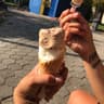 Cats & Monsters - Vegan Ice Cream Athens