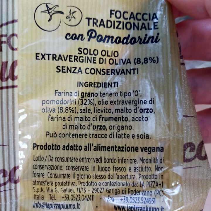 review photo of Forno Ludovico Focaccia Con Pomodorini shared by @acquario on 18 Jun 2022 - review