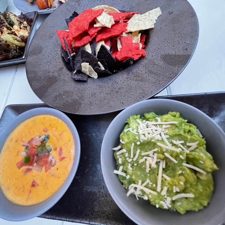 photo of Belse Restaurant Queso & Guac shared by @iseekplants on  05 Apr 2021 - review