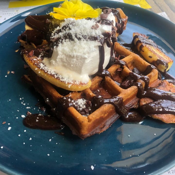 photo of Lexi's Healthy Eatery Choc chip Waffles shared by @dominickara on  26 Sep 2020 - review