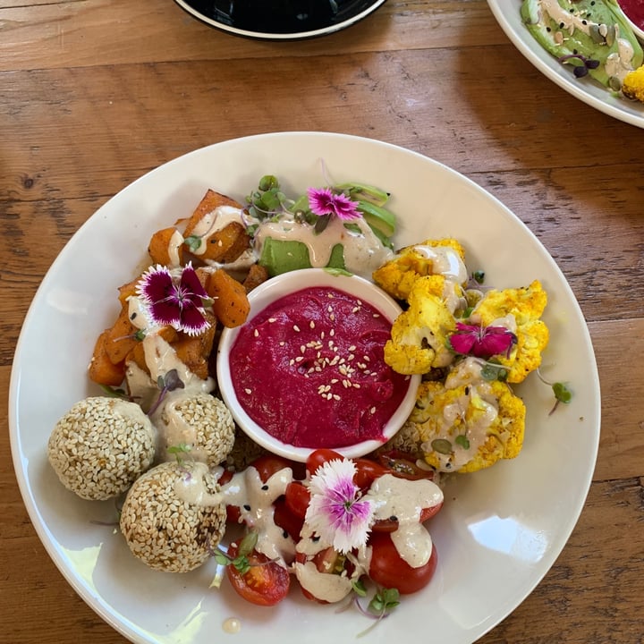 photo of Wildsprout Buddha falafel bowl shared by @drdodd on  05 Dec 2022 - review