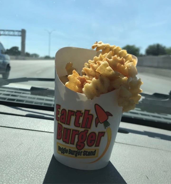 photo of Earth Burger Fries shared by @maddymo7 on  17 Oct 2020 - review