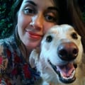 emmijfox @emmijfox profile image