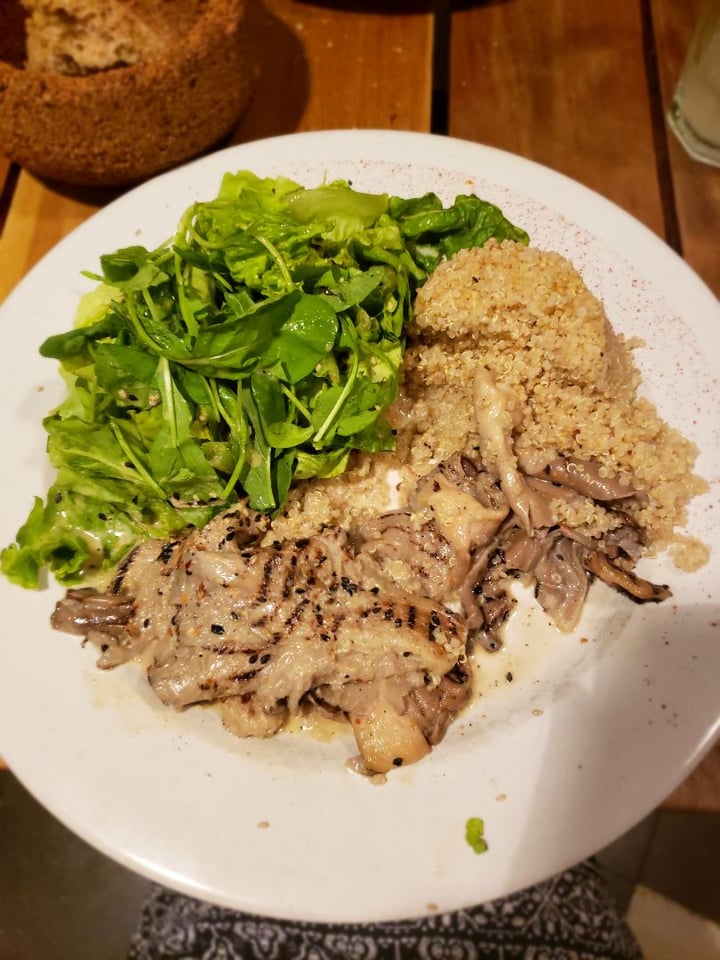 review photo of Bio Solo Orgánico Girgolas shared by @mickd on 19 Jul 2019 - review