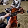Johnnie walker