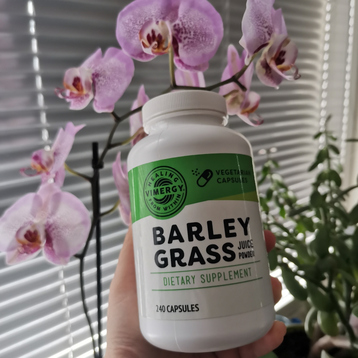Vimergy Barley grass juice powder Reviews abillion
