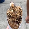 ICONOGLACE