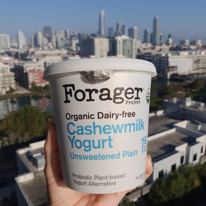 photo of Forager Project Cashewmilk Yogurt Unsweetened Plain shared by @anistavrou on  31 Oct 2020 - review