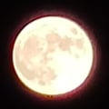 spike6 @spike6 profile image