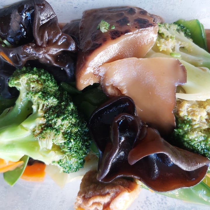 Macau Noodle Kitchen 澳門小廚 Burwood, Australia Vegetarian Hotpot with