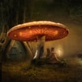 cottagefae @cottagefae profile image