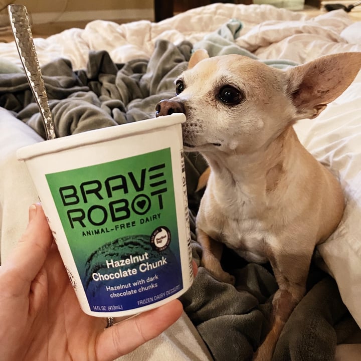 photo of Brave Robot Brave Robot Hazelnut Chocolate Chunk Animal-Free Dairy shared by @thetreekisser on  07 Feb 2021 - review