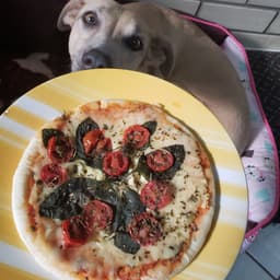 Juh food
